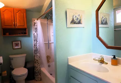 17051 Hale Rd, Fiddletown, CA 95629 photo 23