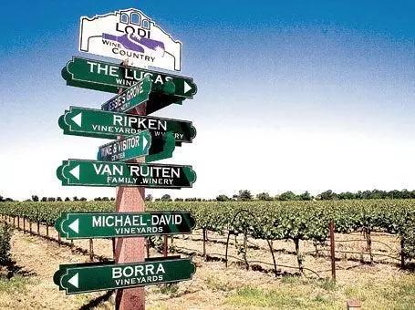 View/Area - 20042 N Ray Rd, Lodi, CA 95242 photo 10 of 11