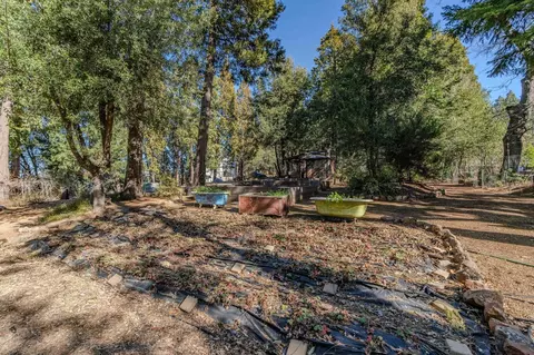 Exterior - 24985 Shake Ridge Rd, Volcano, CA 95689 photo 21 of 50
