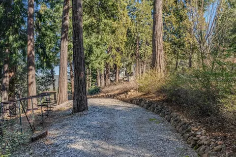Other - 24985 Shake Ridge Rd, Volcano, CA 95689 photo 18 of 21