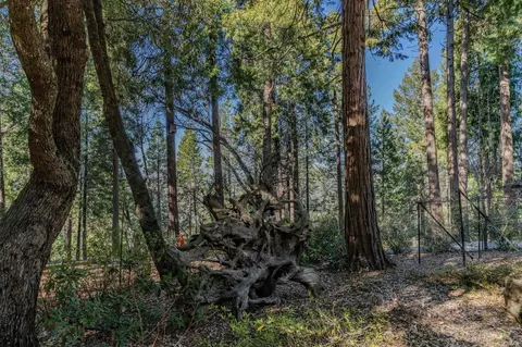 Exterior - 24985 Shake Ridge Rd, Volcano, CA 95689 photo 46 of 50