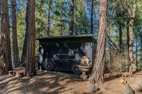 Exterior - 24985 Shake Ridge Rd, Volcano, CA 95689 photo 23 of 50