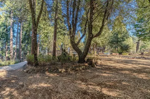 Exterior - 24985 Shake Ridge Rd, Volcano, CA 95689 photo 24 of 50