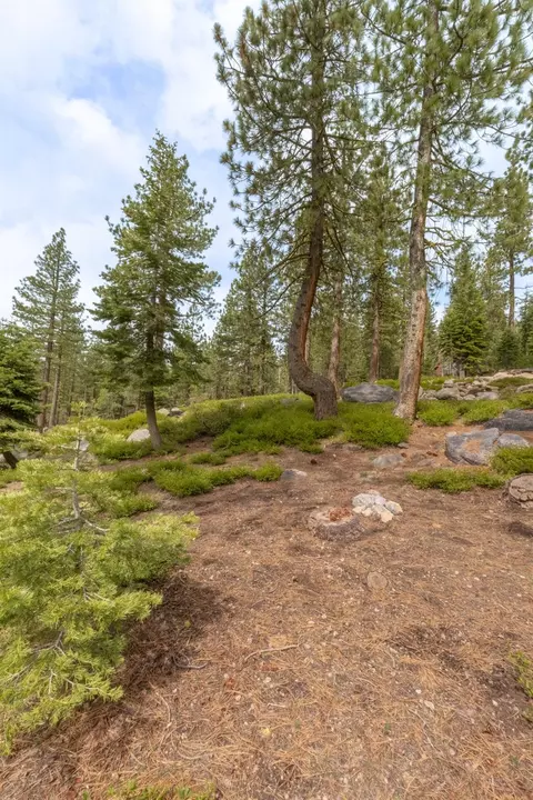 1379 Alpine Vis, Arnold, CA 95223 photo 19
