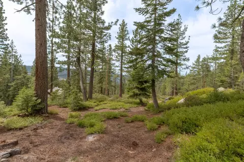 1379 Alpine Vis, Arnold, CA 95223 photo 17