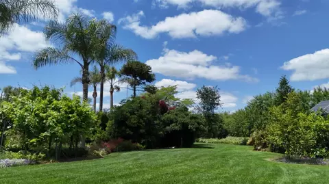 Exterior - 1415 St Francis Ave, Modesto, CA 95356 photo 9 of 10