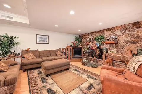 Living - 16390 Ridge Rd, Jackson, CA 95642 photo 4 of 4