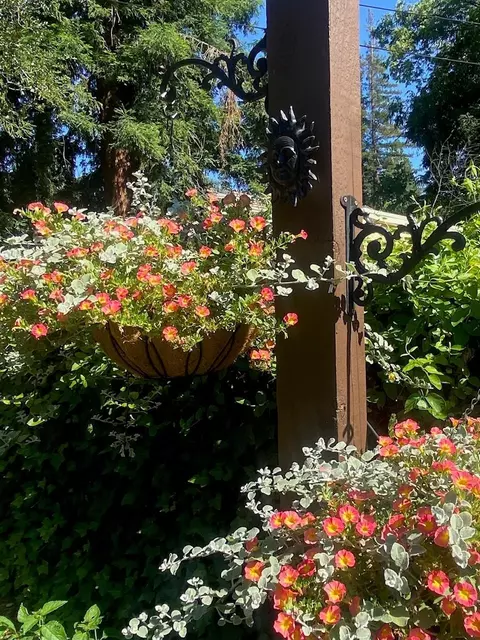 Exterior - 6200 Mahala Dr, Carmichael, CA 95608 photo 9 of 17