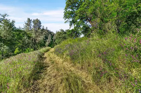 Other - 5595 Dream Valley Rd, Red Bluff, CA 96080 photo 2 of 7