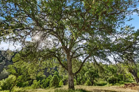 Other - 5595 Dream Valley Rd, Red Bluff, CA 96080 photo 1 of 7