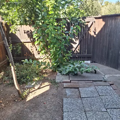 Exterior - 2007 Alta Loma St, Davis, CA 95616 photo 4 of 4