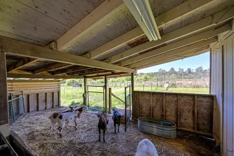 Other - 10805 Cramer Rd, Auburn, CA 95602 photo 16 of 21