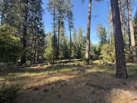 0 Pine Cone Ln, Meadow Vista, CA 95602
