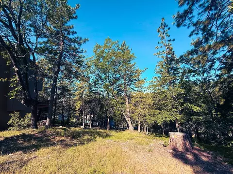 1140 Sandalwood Dr, Murphys, CA 95247 photo 8