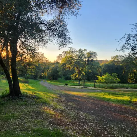 11541 Hernandos Hideaway, Penn Valley, CA 95946