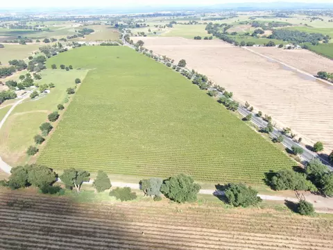20013 E Hwy 88, Clements, CA 95227