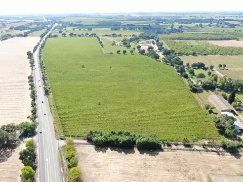 20013 E Hwy 88, Clements, CA 95227 photo 2