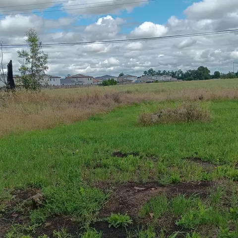 8645 Carlisle Ave, Sacramento, CA 95828