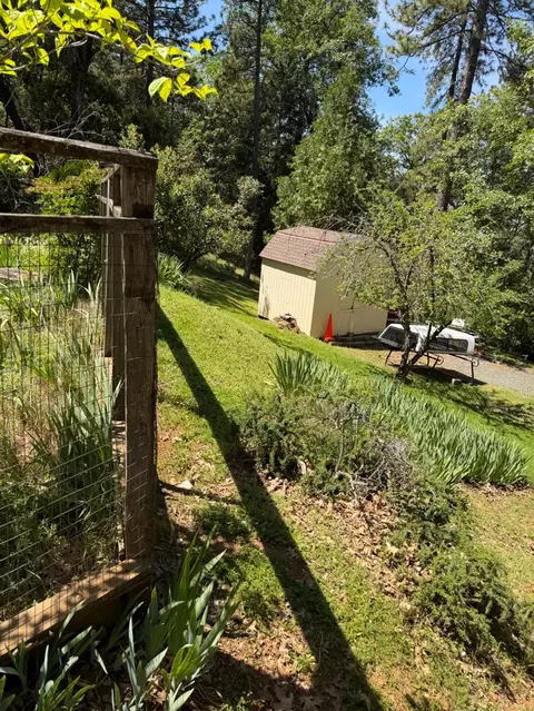 14041 Druid Ln, Pine Grove, CA 95665 photo 50
