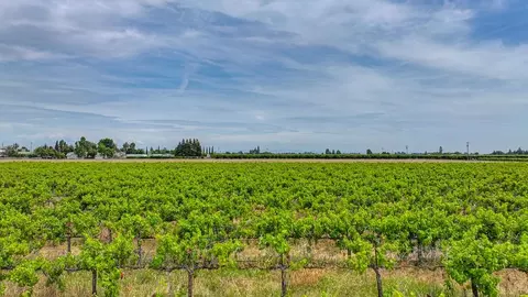 Other - 8650 E Highway 12, Lodi, CA 95240 photo 18 of 20
