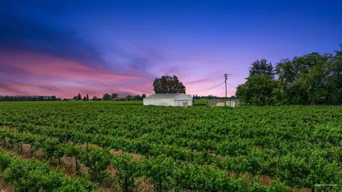 Other - 8650 E Highway 12, Lodi, CA 95240 photo 20 of 20