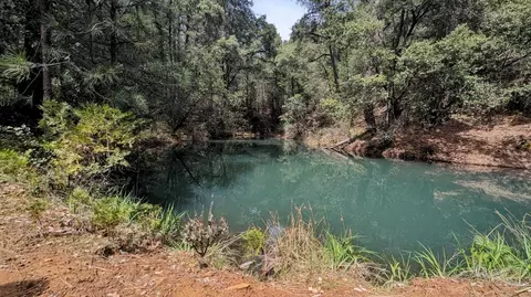 View/Area - 12511 Tabeaud Rd, Pine Grove, CA 95665 photo 2 of 4