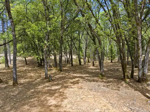1451 Big Oak Rd, Placerville, CA 95667 photo 8