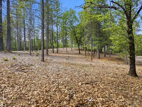 1451 Big Oak Rd, Placerville, CA 95667 photo 9