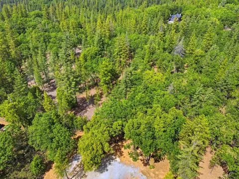 1451 Big Oak Rd, Placerville, CA 95667 photo 21