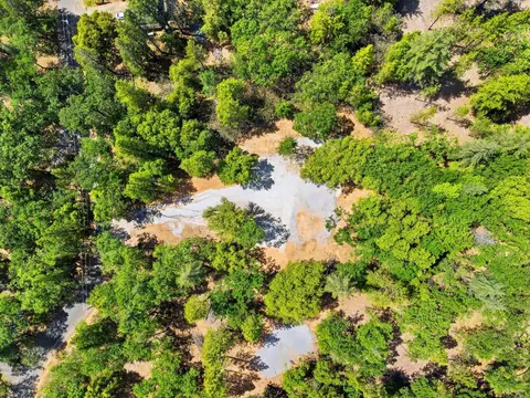 1451 Big Oak Rd, Placerville, CA 95667 photo 12