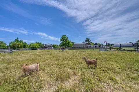 Exterior - 11320 Colony Rd, Wilton, CA 95693 photo 26 of 33