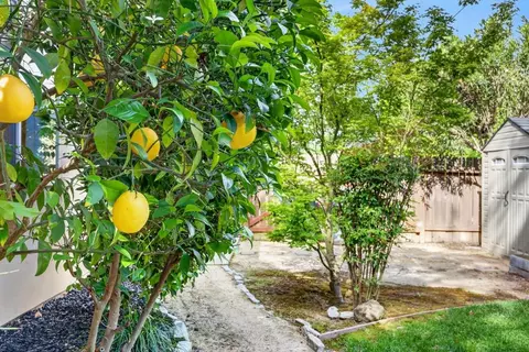 Exterior - 3906 Brace Ranch Rd, Loomis, CA 95650 photo 12 of 15