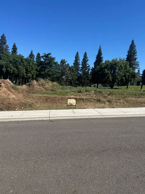 9819 Plaza De Oro Dr, Oakdale, CA 95361