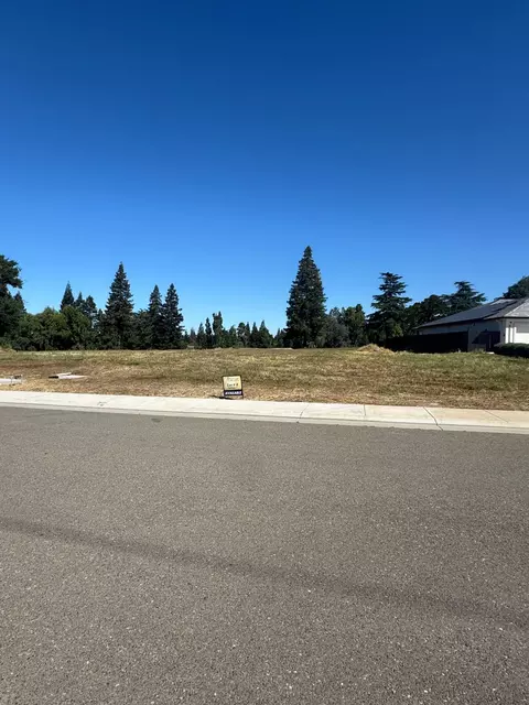 9905 Plaza De Oro Dr, Oakdale, CA 95361