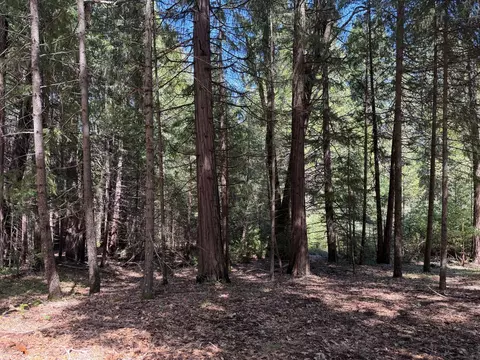 17889 Lightfoot Way, Nevada City, CA 95959