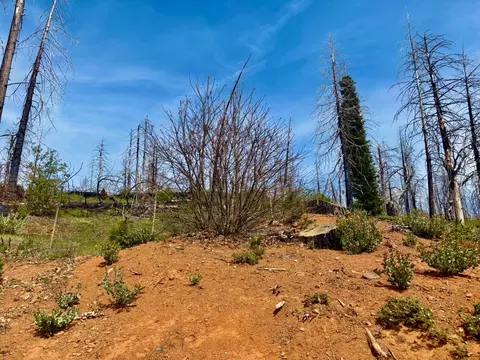 4664 String Canyon Rd, Somerset, CA 95684 photo 8