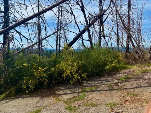 4664 String Canyon Rd, Somerset, CA 95684 photo 14