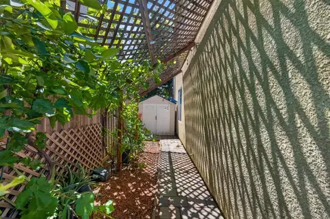 Exterior - 25792 Grafton St, Esparto, CA 95627 photo 12 of 14