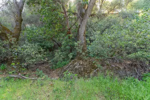 3501 Elysian Way, Placerville, CA 95667 photo 26