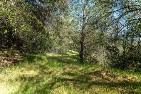 3501 Elysian Way, Placerville, CA 95667 photo 23