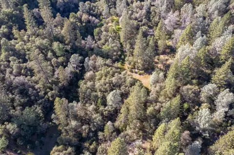 3501 Elysian Way, Placerville, CA 95667 photo 29