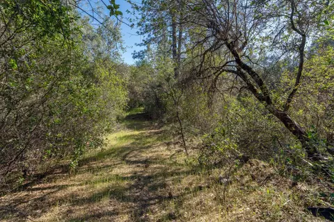 3501 Elysian Way, Placerville, CA 95667 photo 21