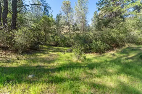 3501 Elysian Way, Placerville, CA 95667 photo 13