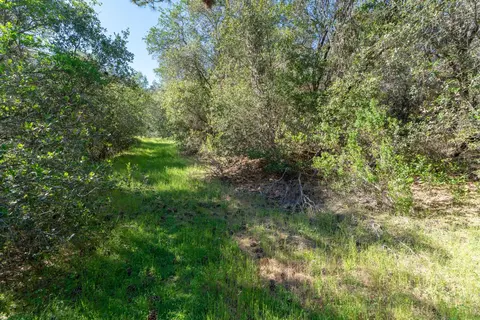 3501 Elysian Way, Placerville, CA 95667 photo 15