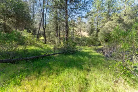 3501 Elysian Way, Placerville, CA 95667 photo 8