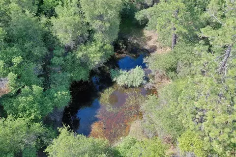 3501 Elysian Way, Placerville, CA 95667 photo 3