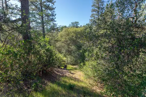 3501 Elysian Way, Placerville, CA 95667 photo 16