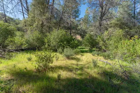 3501 Elysian Way, Placerville, CA 95667 photo 14