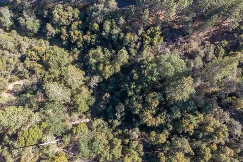3501 Elysian Way, Placerville, CA 95667 photo 27