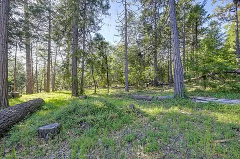 Exterior - 5415 Robert Rd, Pollock Pines, CA 95726 photo 9 of 25
